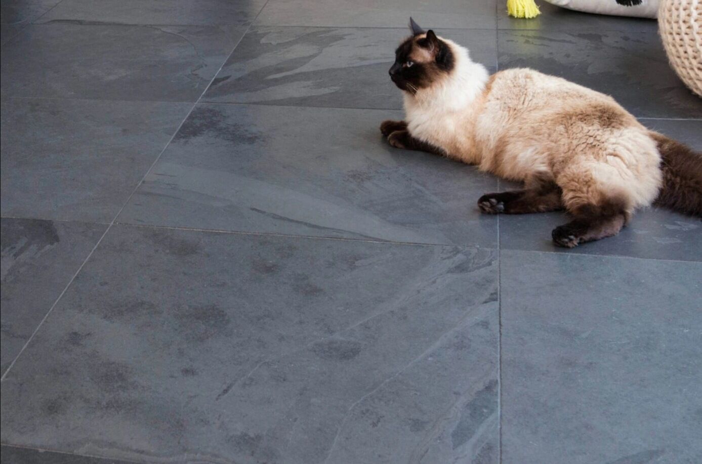 brush-02-lifestyle-floor Плитка из сланца браш от поставщика Стоко фото №2 из галереи
